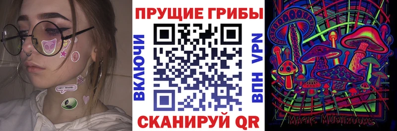 Галлюциногенные грибы мицелий  Купить где  Хасавюрт 