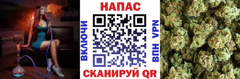 Канабис тримм  Купить где  Хасавюрт 